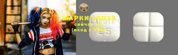 ГАЛЛЮЦИНОГЕННЫЕ ГРИБЫ Беломорск