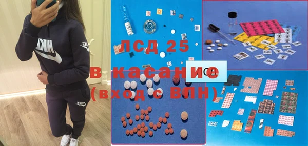 ГАЛЛЮЦИНОГЕННЫЕ ГРИБЫ Богородицк